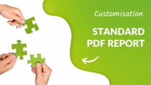 standard pdf report