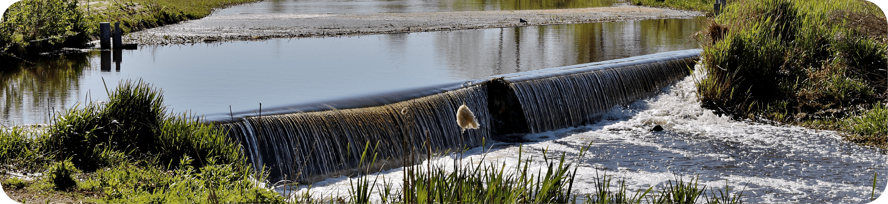 Protection biodiversité